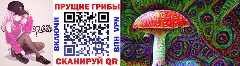 купить  сайты  Большой Камень  Псилоцибиновые грибы Psilocybine cubensis 